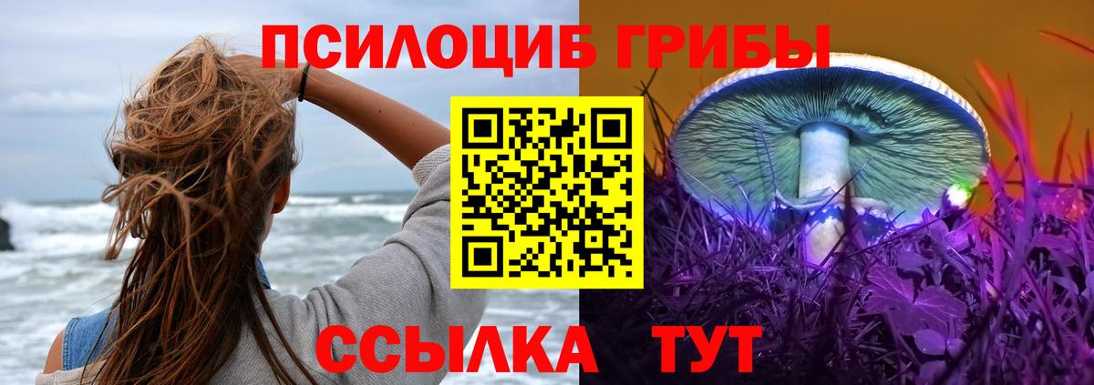 Псилоцибиновые грибы MAGIC MUSHROOMS  Псилоцибиновые грибы MAGIC MUSHROOMS  Алексин  Вход с VPN 